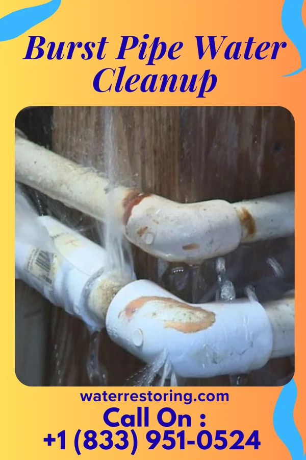 Burst Pipe Water Cleanup in Vandalia, MO
