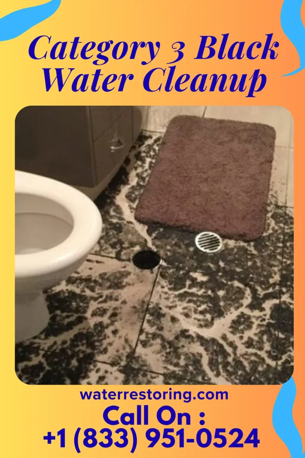 Category 3 Black Water Cleanup in Vandalia, MO