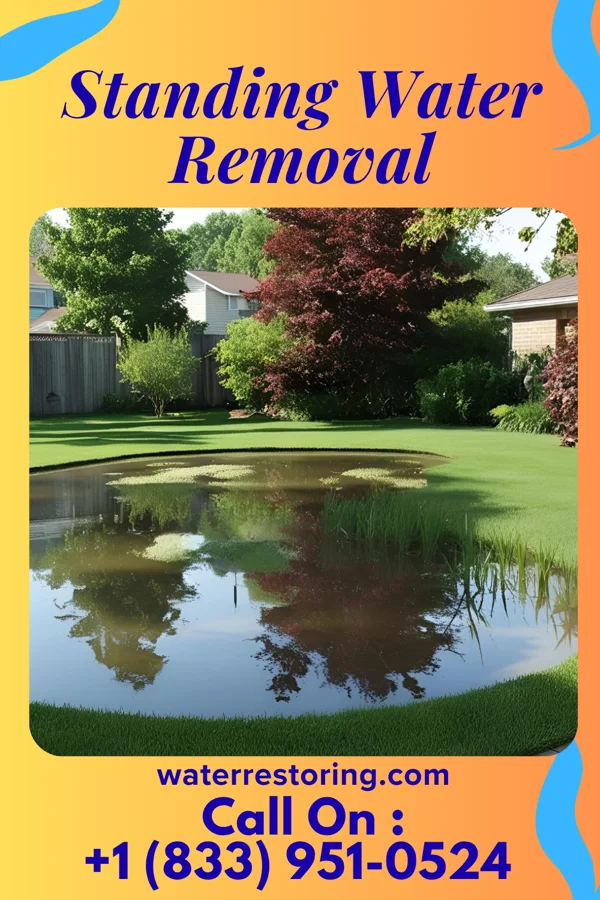 Standing Water Removal in Vandalia, MO